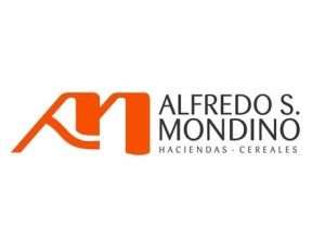 ALFREDO S. MONDINO