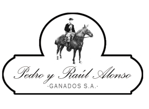 Pedro y Raúl Alonso SA