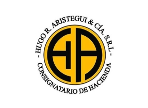 Hugo R Aristegui & Cía S.RL